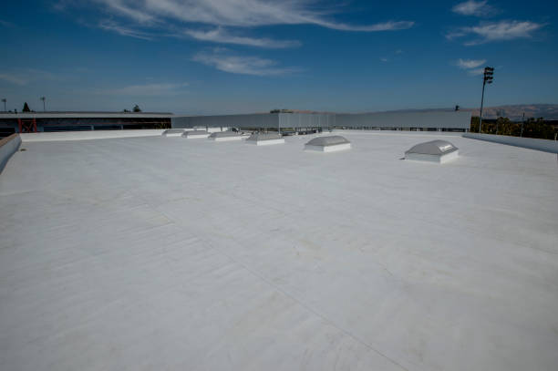 Fast & Reliable Emergency Roof Repairs in Placeholder8